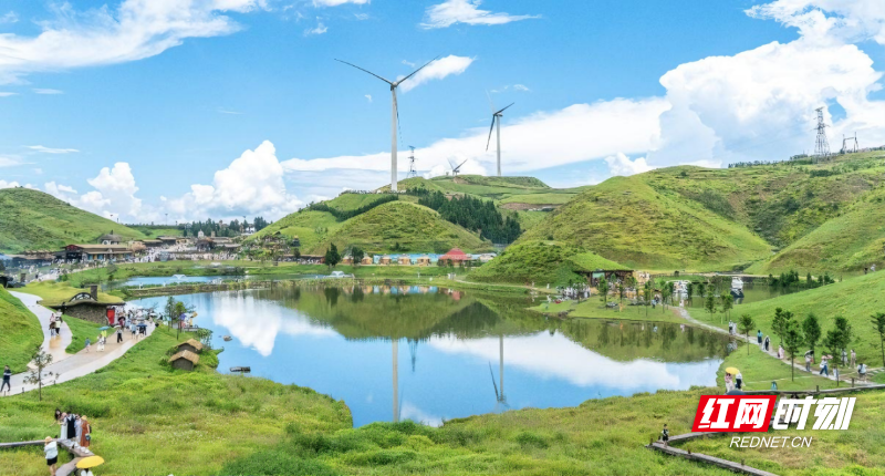 图片24.png 图片24.png