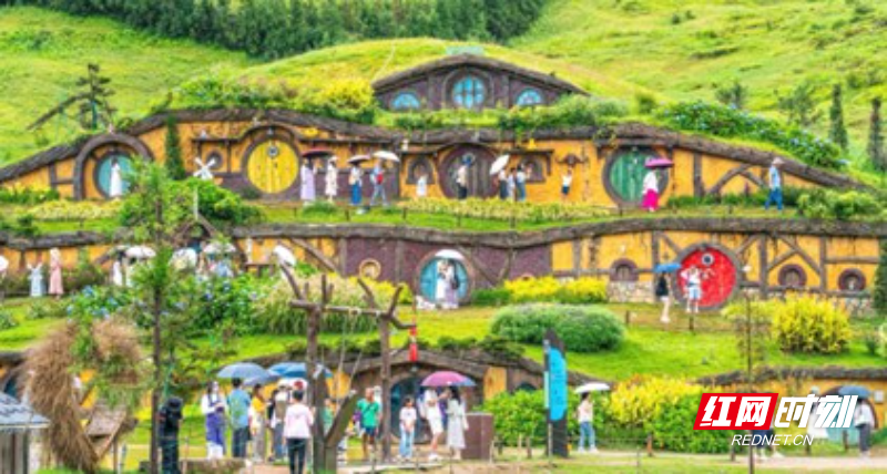 图片25.jpg 图片25.jpg