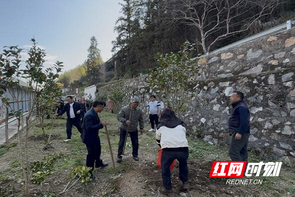 图片4.png 图片4.png