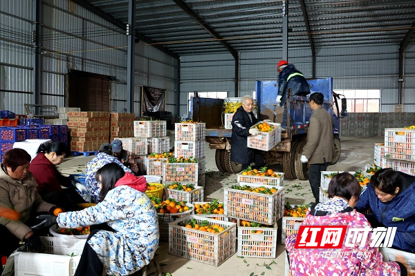 图片3.jpg 图片3.jpg