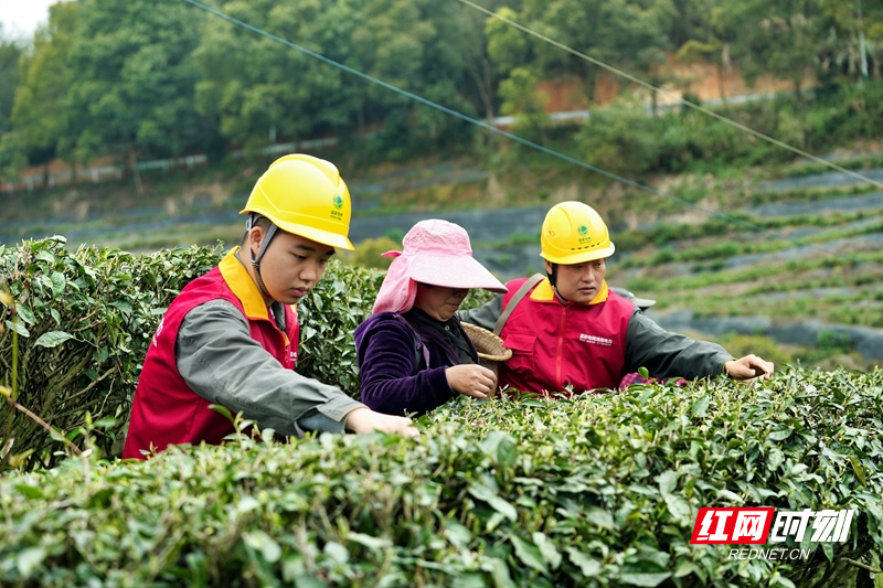 微信图片_20260326112334_364_37_副本.jpg 微信图片_20260326112334_364_37_副本.jpg