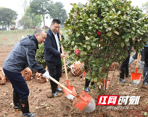3.25植绿添绿正当时 雁峰区开展义务植树活动.jpg
