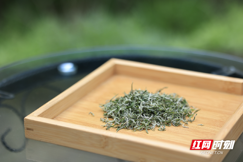 _R2A1380_副本.jpg _R2A1380_副本.jpg