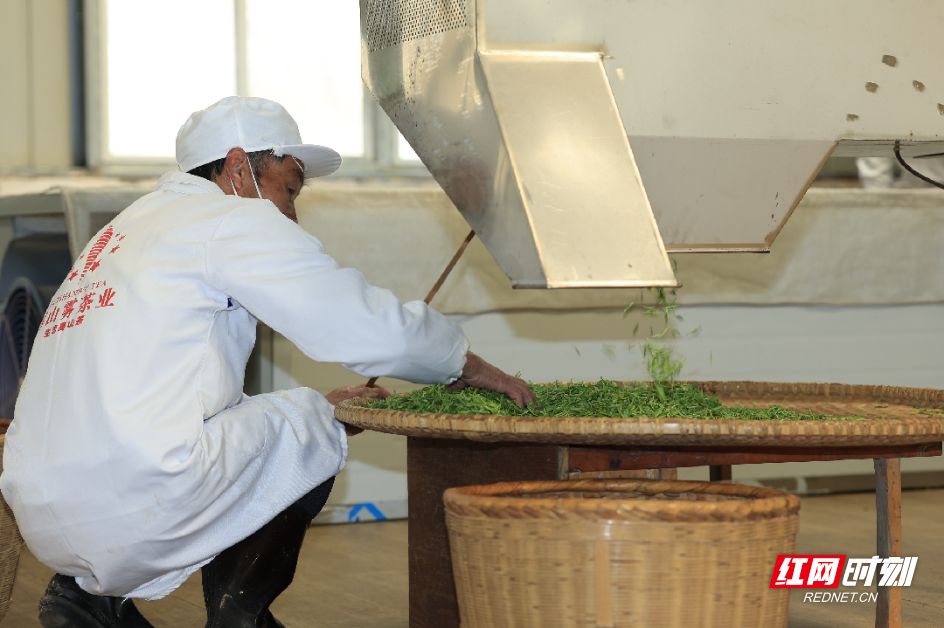 _R2A1393_副本.jpg _R2A1393_副本.jpg