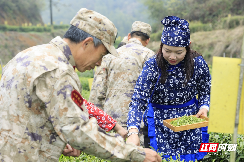 _R2A1349_副本.jpg _R2A1349_副本.jpg