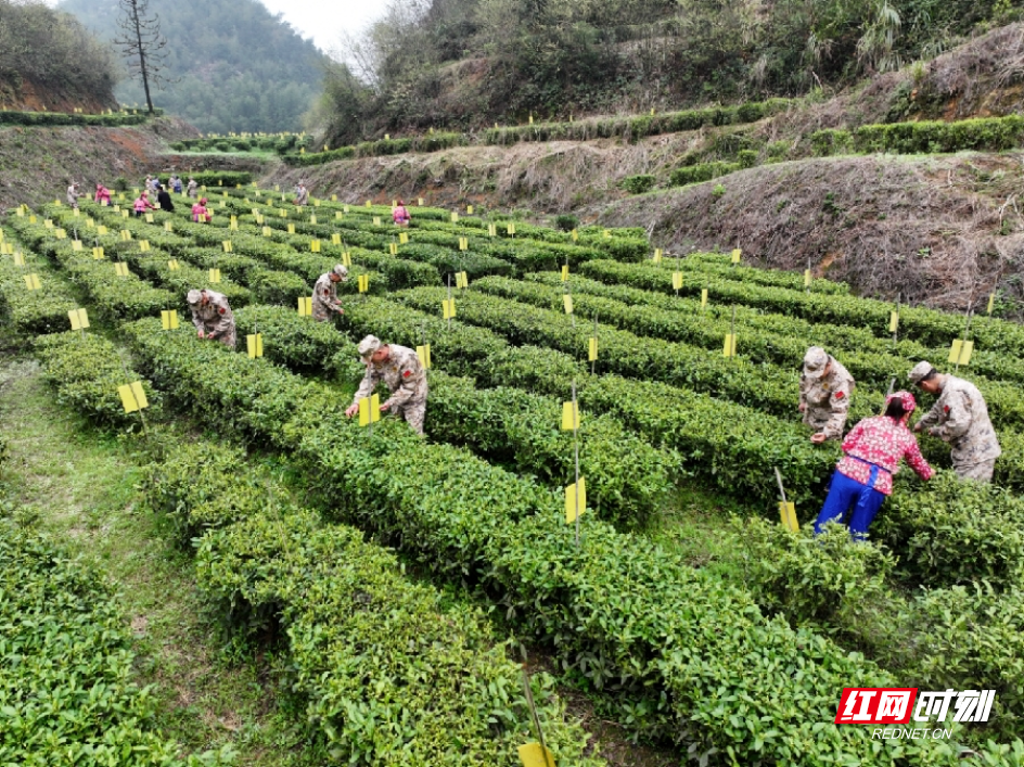 4018e6dae1becca6fe114e76d1cf92a2_副本.jpg 4018e6dae1becca6fe114e76d1cf92a2_副本.jpg