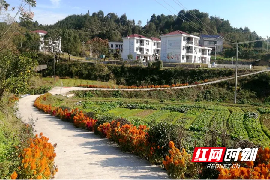 桃源县佘家坪镇：环境整治齐发力 和美乡村焕新颜