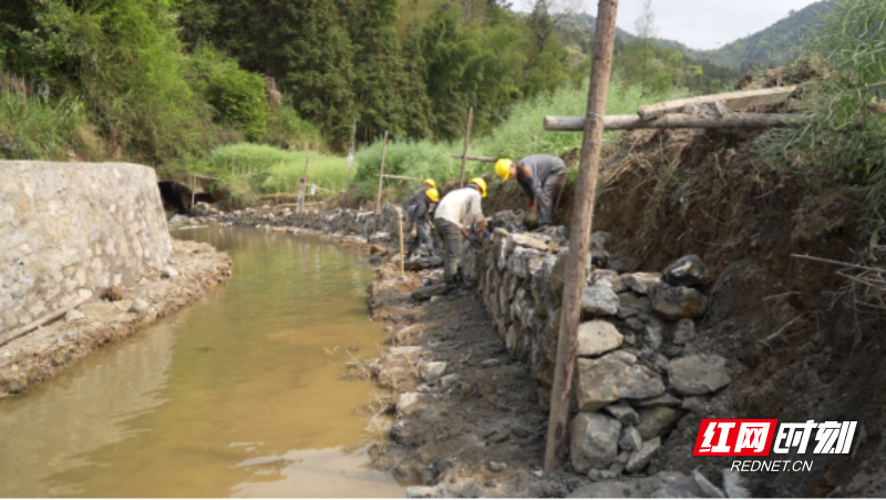 宜章县关溪乡:春修水利助春耕657.png 宜章县关溪乡:春修水利助春耕657.png