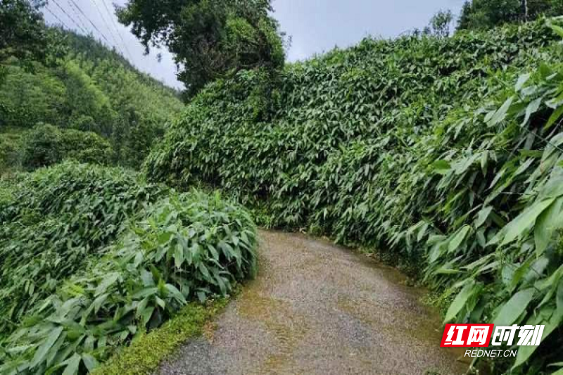 图片 3.png 图片 3.png