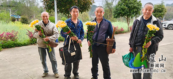 所城镇：鲜花换下塑料花 文明祭扫树新风.jpg