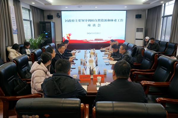 钟跃波调研自然资源和林业工作