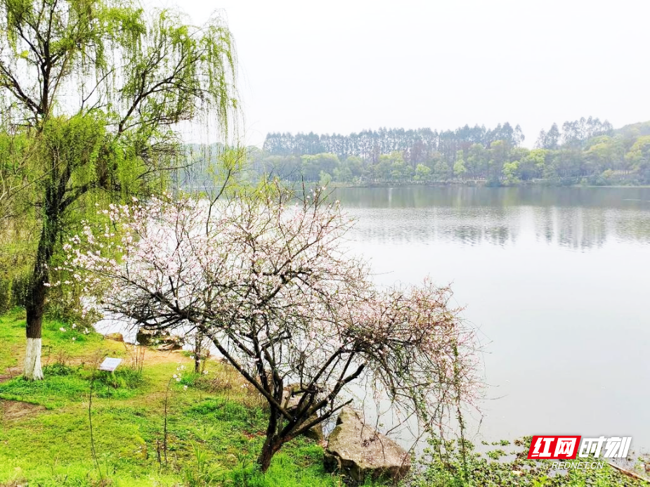 图片10.png 图片10.png