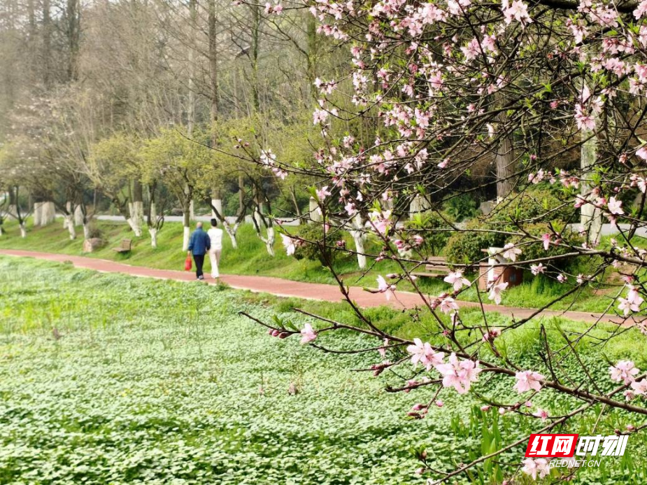 图片11.png 图片11.png