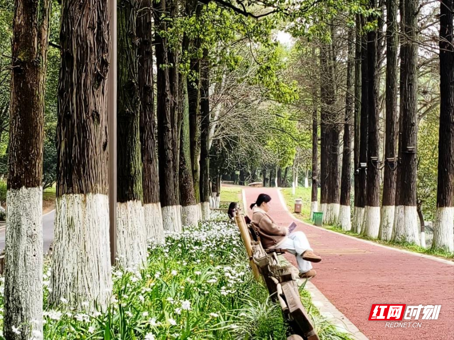 图片12.png 图片12.png