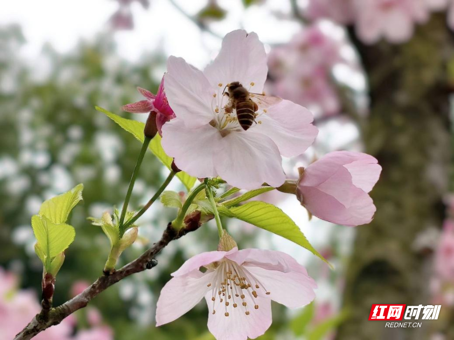 图片5.png 图片5.png