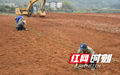 微信图片_20260330091818_123_49.jpg 微信图片_20260330091818_123_49.jpg