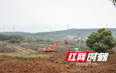 微信图片_20260330091823_124_49.jpg 微信图片_20260330091823_124_49.jpg