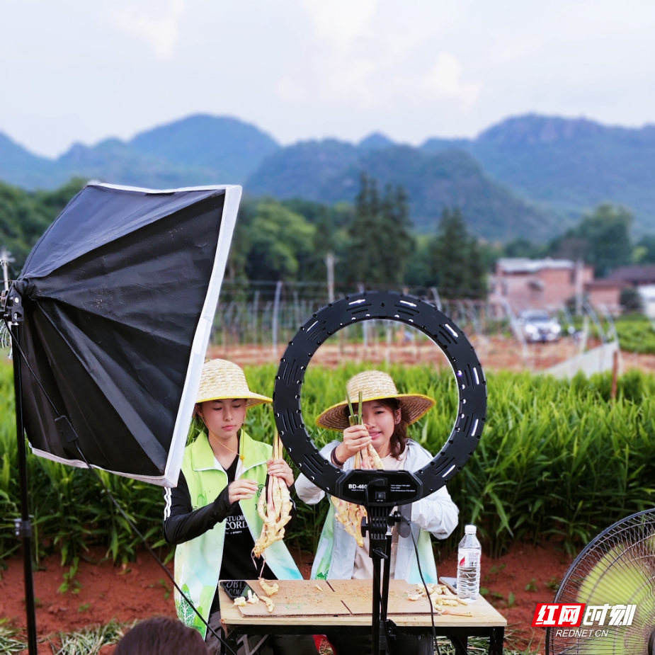 微信图片_20260330132148_82_608.jpg 微信图片_20260330132148_82_608.jpg