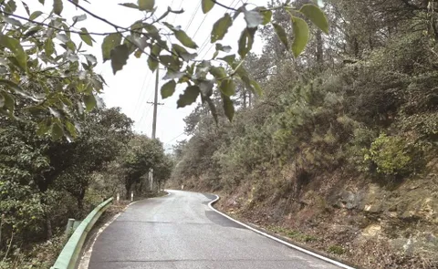 走进金洲新城，解锁“生态底色” ——香山国家森林公园徒步攻略