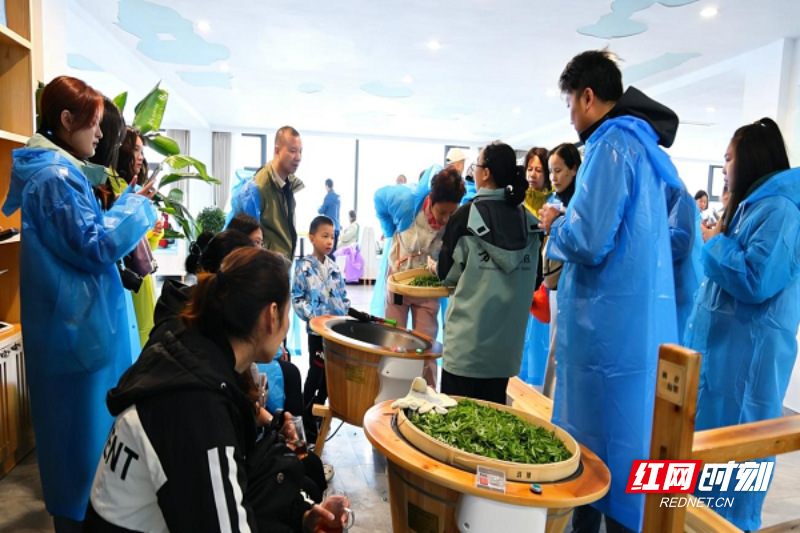 图片1.png 图片1.png