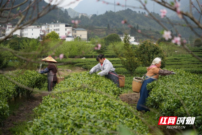 图片13.png 图片13.png