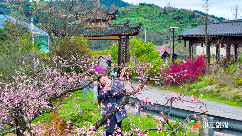 微信图片_20260331150254.jpg 微信图片_20260331150254.jpg