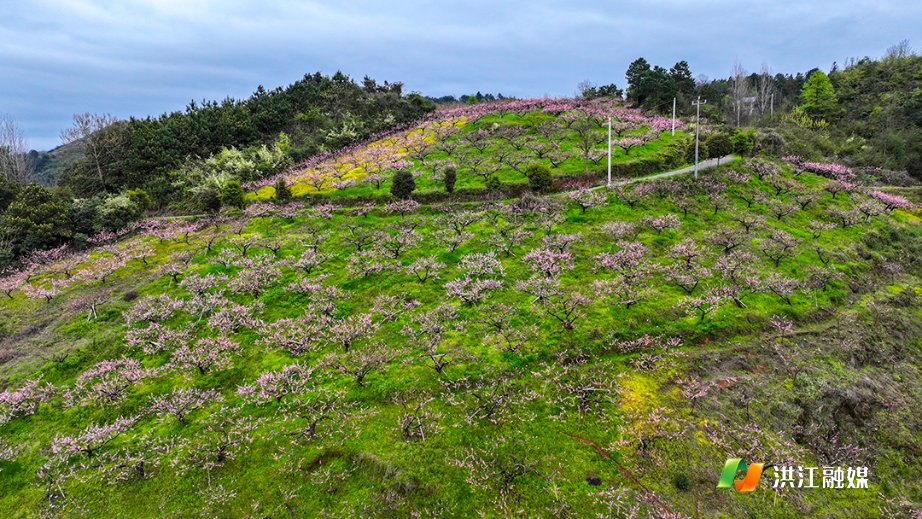 微信图片_20260331150321.jpg 微信图片_20260331150321.jpg