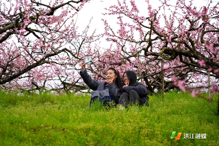 微信图片_20260331150259.jpg 微信图片_20260331150259.jpg