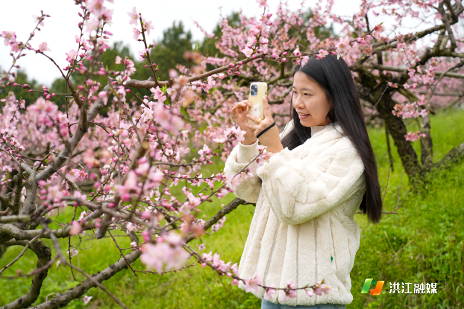 微信图片_20260331150248.jpg 微信图片_20260331150248.jpg