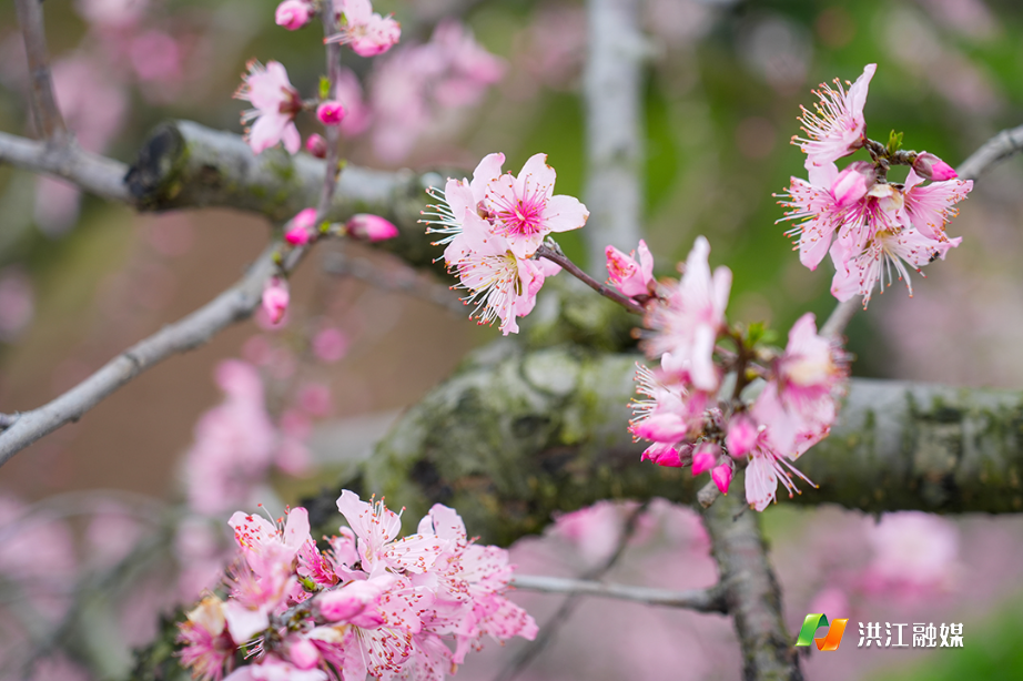 微信图片_20260331150309.jpg 微信图片_20260331150309.jpg