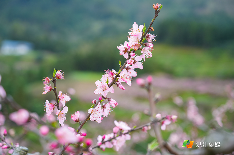 微信图片_20260331150314.jpg 微信图片_20260331150314.jpg