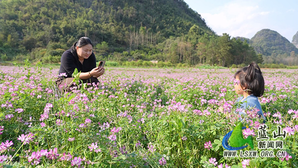 祠堂圩镇山口村：紫云英烂漫绽放 春日花海引客来1.jpg