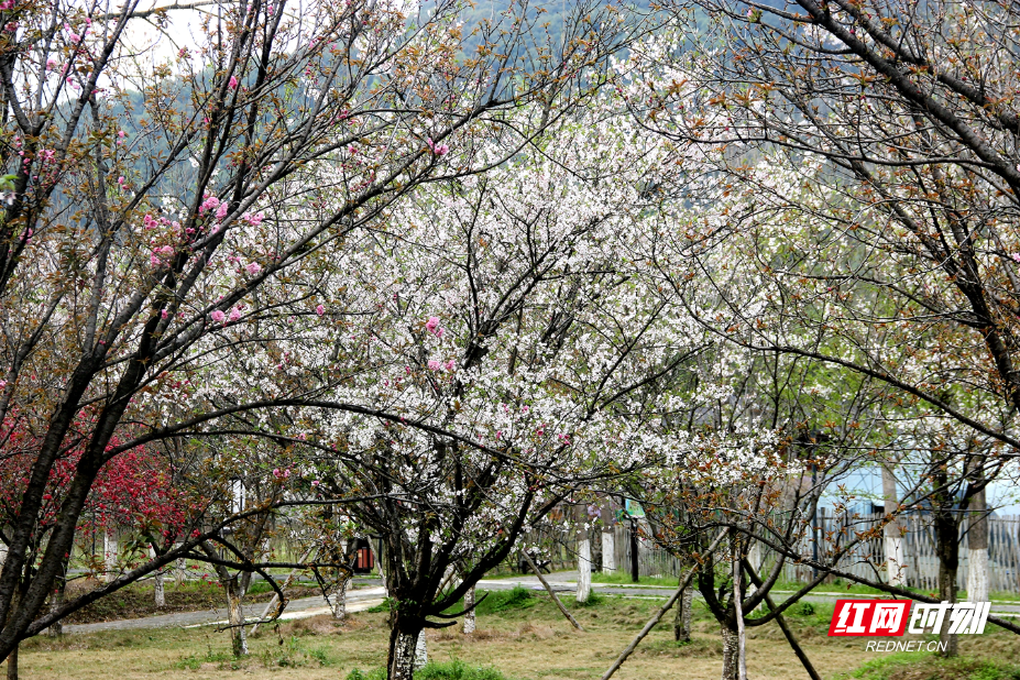 IMG_0672.JPG IMG_0672.JPG