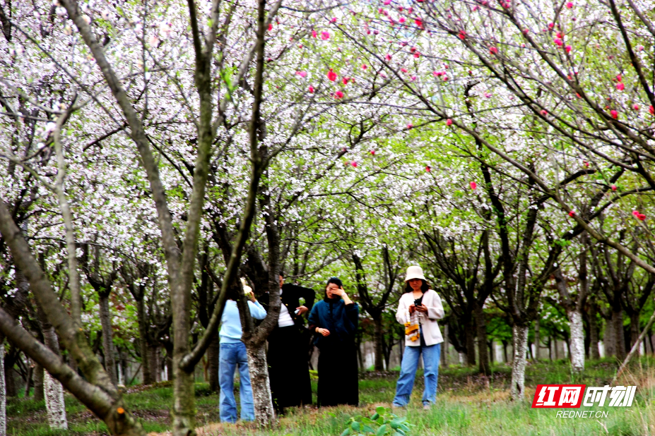 IMG_0695.JPG IMG_0695.JPG