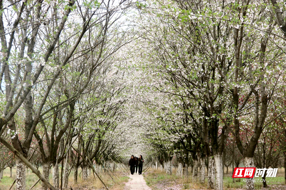 IMG_0691.JPG IMG_0691.JPG