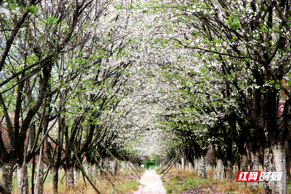 IMG_0694.JPG IMG_0694.JPG