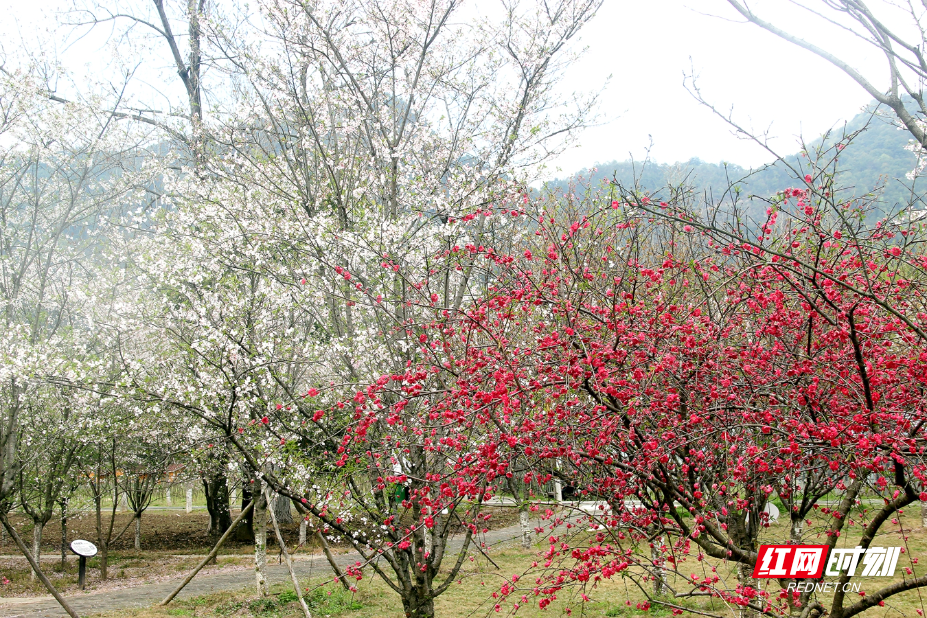 IMG_0673.JPG IMG_0673.JPG