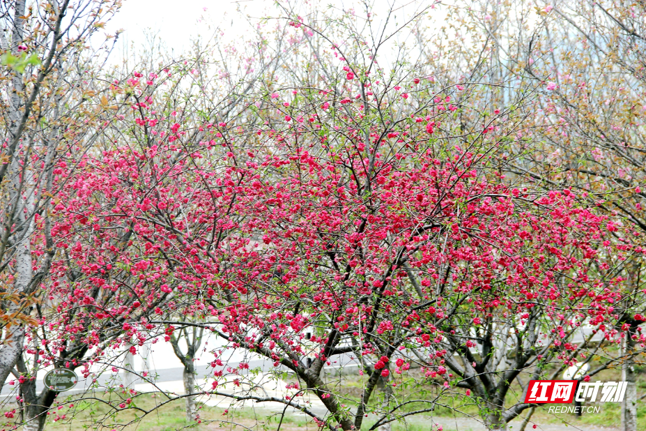 IMG_0723.JPG IMG_0723.JPG