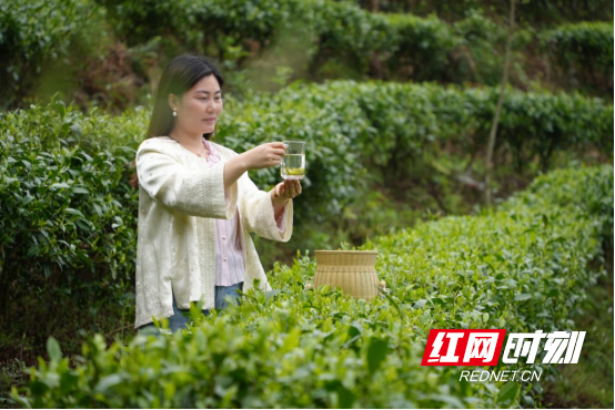宜章：春来茶香富农家(1)(1)969.png