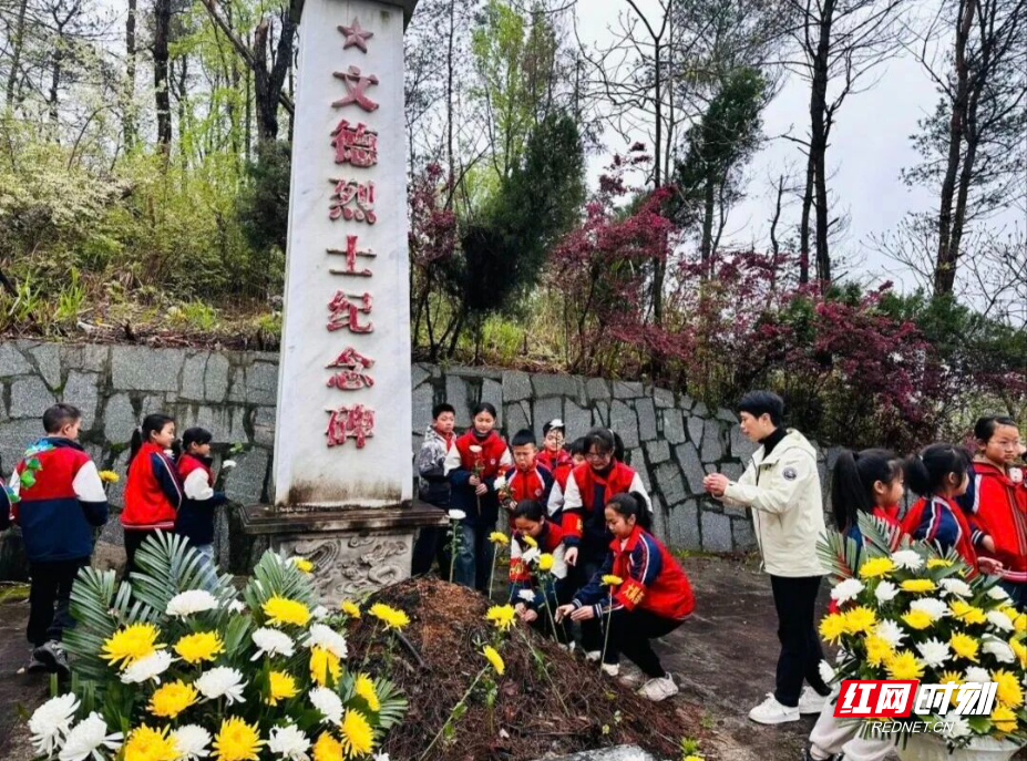 图片25.jpg 图片25.jpg