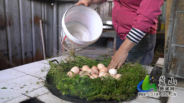 塔峰镇：东江桃园春意浓 林下荠菜遍地香2.jpg