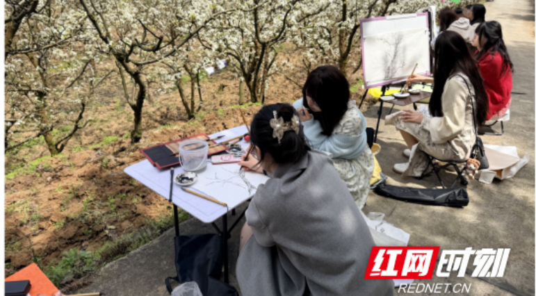 近万亩梨花作课堂！怀化学院62名师生把写生课上到乡村振兴一线