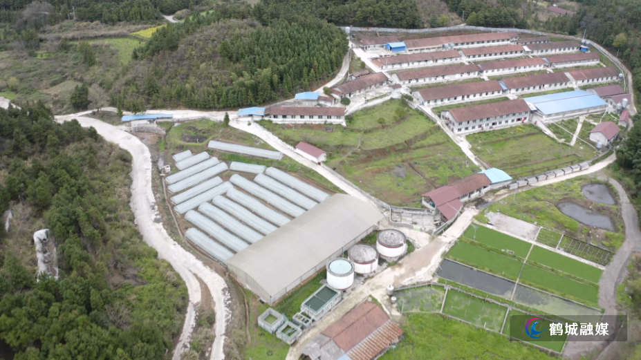 兴隆农业：二十余载“种养循环”路 智慧赋能“生态致富”.mp4_000013.698.png