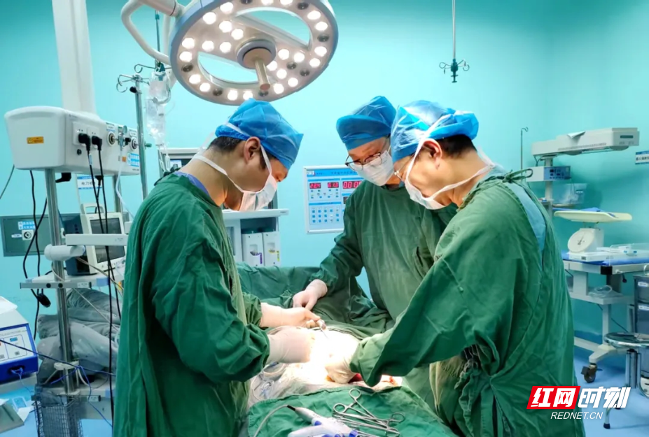 微信图片_2026-04-03_142826_217.jpg 微信图片_2026-04-03_142826_217.jpg