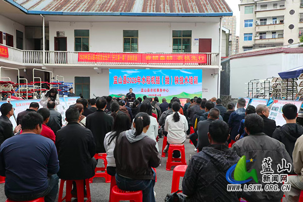 蓝山：举办水稻机插（抛）秧技术培训暨现场演示会1.jpg