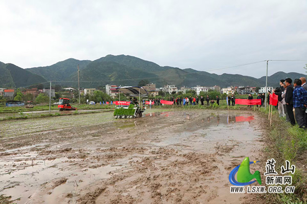 蓝山：举办水稻机插（抛）秧技术培训暨现场演示会2.jpg