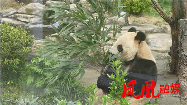 Still0404_00004.png Still0404_00004.png