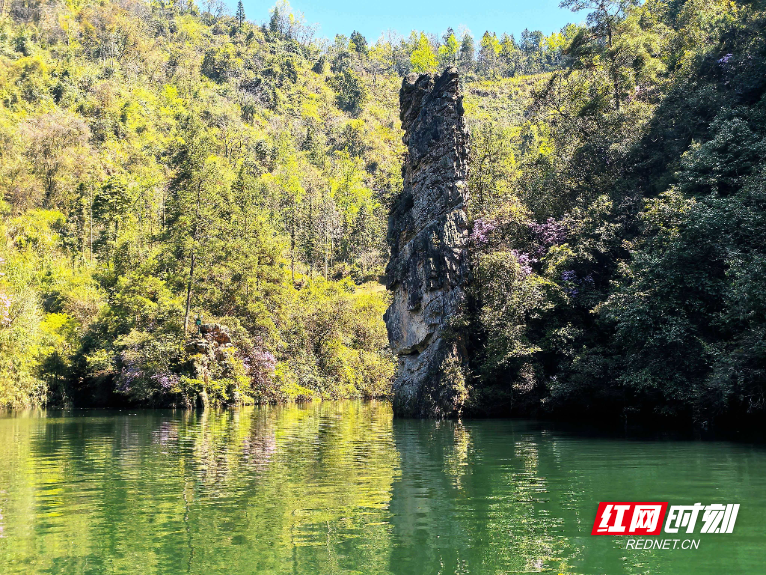 微信图片_20260404163610_749_112.jpg 微信图片_20260404163610_749_112.jpg