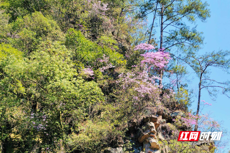 微信图片_20260404163608_747_112.jpg 微信图片_20260404163608_747_112.jpg