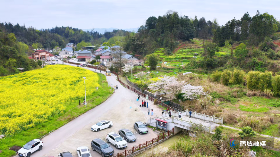(粗编)樱花绽放正当时 乡村旅游添活力.mp4_000101.413.png (粗编)樱花绽放正当时 乡村旅游添活力.mp4_000101.413.png